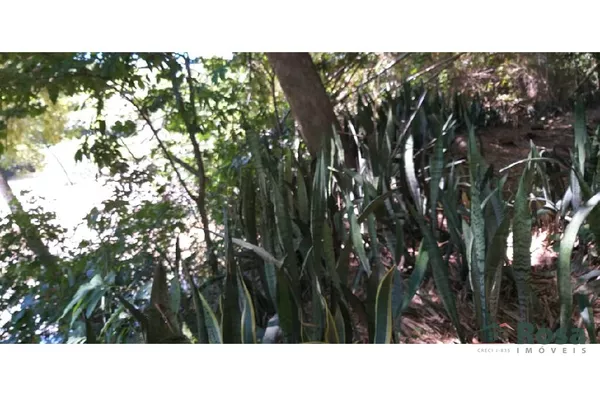 CHÁCARA / SITIO para venda COXIPO DO OURO Cuiabá - Foto 5