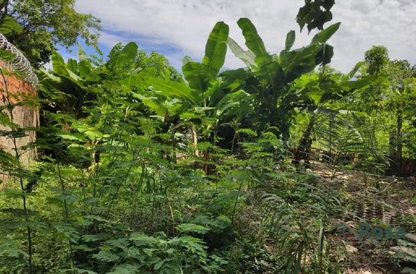 Terreno para venda COOPHEMA Cuiabá - Foto 1