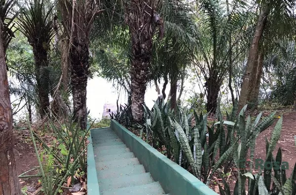 CHÁCARA / SITIO para venda ZONA RURAL ACORIZAL