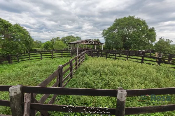 Fazenda para venda ZONA RURAL NOSSA SENHORA DO LIVRAMENTO - Foto 66