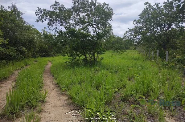 Fazenda para venda ZONA RURAL NOSSA SENHORA DO LIVRAMENTO - Foto 79