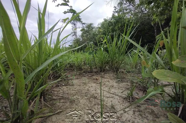 Fazenda para venda ZONA RURAL NOSSA SENHORA DO LIVRAMENTO - Foto 80