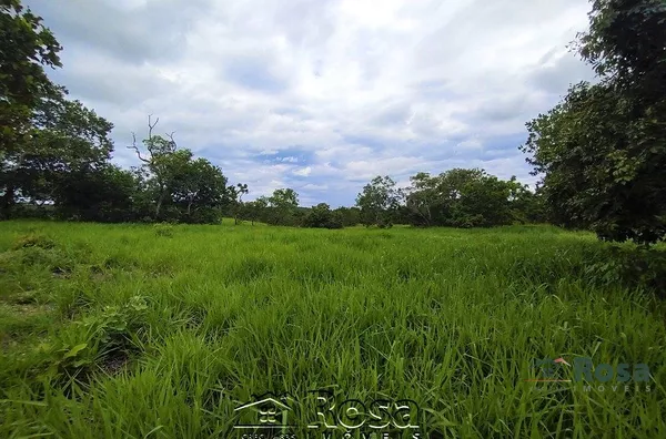 Fazenda para venda ZONA RURAL NOSSA SENHORA DO LIVRAMENTO - Foto 84