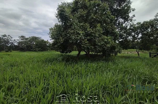 Fazenda para venda ZONA RURAL NOSSA SENHORA DO LIVRAMENTO - Foto 85