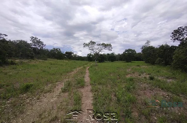 Fazenda para venda ZONA RURAL NOSSA SENHORA DO LIVRAMENTO - Foto 86