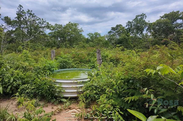 Fazenda para venda ZONA RURAL NOSSA SENHORA DO LIVRAMENTO - Foto 97