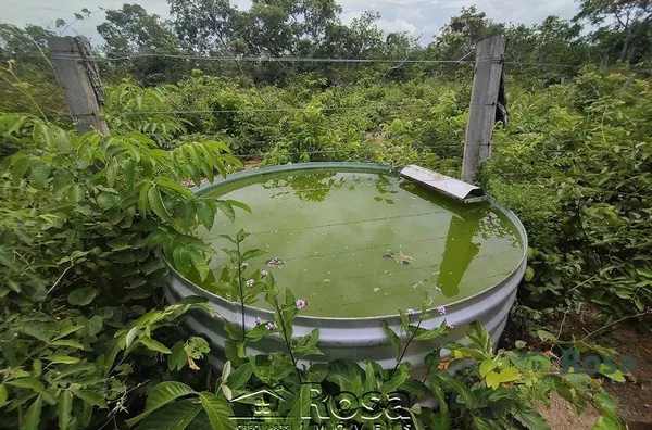 Fazenda para venda ZONA RURAL NOSSA SENHORA DO LIVRAMENTO - Foto 95