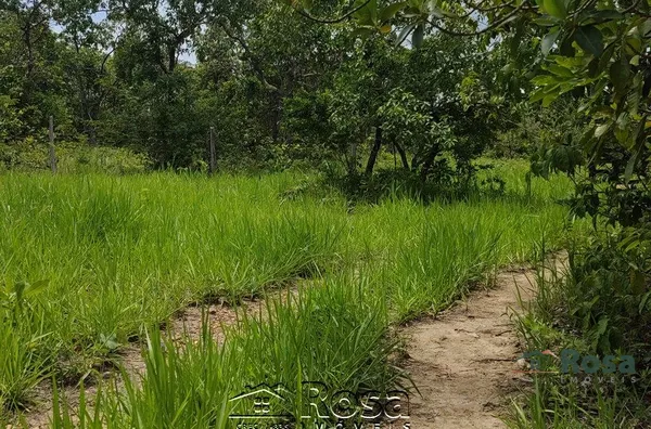 Fazenda para venda ZONA RURAL NOSSA SENHORA DO LIVRAMENTO - Foto 98