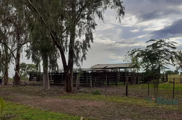 Fazenda para venda ZONA RURAL POCONÉ - Foto 3