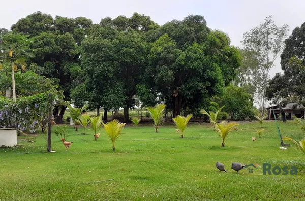 Fazenda para venda ZONA RURAL POCONÉ - Foto 2