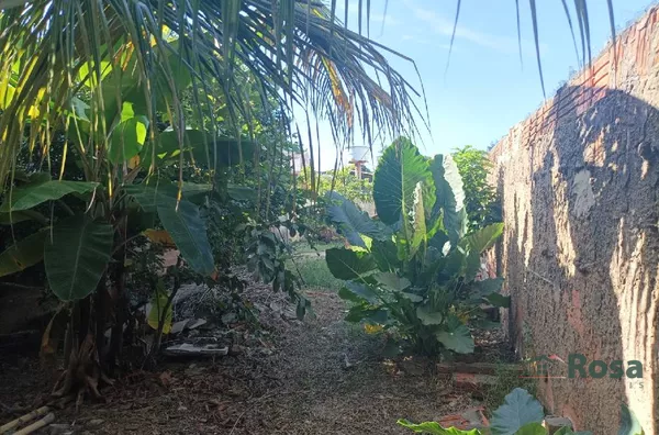 Casa com terreno grande para venda GOIABEIRAS Cuiabá - Foto 4