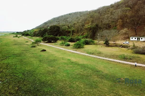 Paraíso no Pantanal: 12 Hectares de Refúgio Pé na Água na Baía de Chacororé - MT - Foto 2
