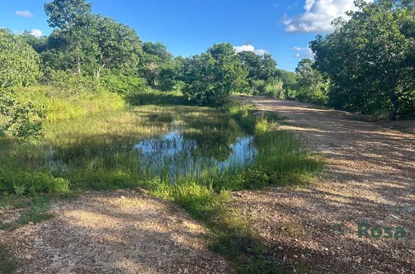 Chácara / sítio para venda,  Sucuri, Cuiabá - Foto 3