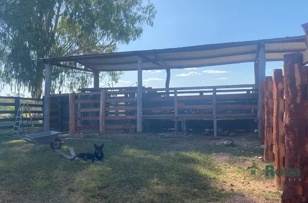 Fazenda para venda, 4 quarto(s), - Selecione - Bairro, Nova Brasilãndia - Foto 10