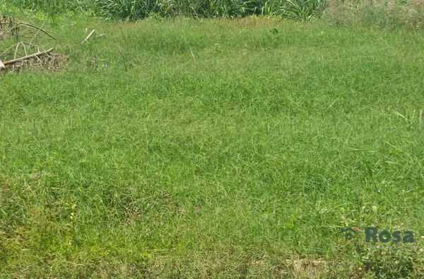 Terreno para venda - Foto 2