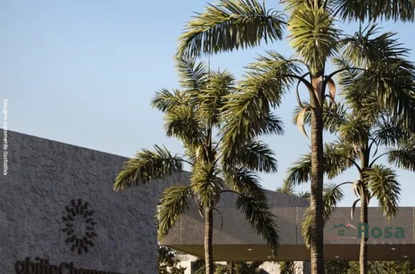 Abitte Champagne, Vinhedos Oliveiras, Cuiabá - Foto 4