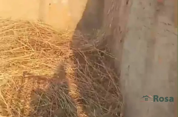 Terrenos na Avenida Jockey Club, próximo ao Novo Hospital Universitário - Foto 3