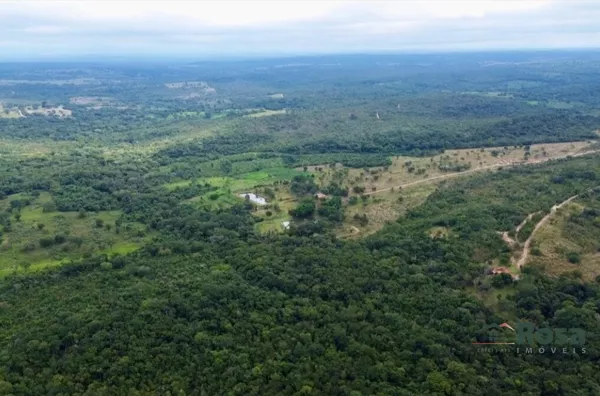 Oportunidade Fazenda para venda,  80 km de Cuiaba, as margens da br 364. Cuiabá MT - Foto 28