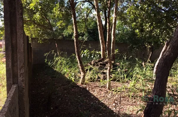 Terreno para venda,  - Novo Colorado, Cuiabá - Foto 6