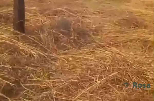 Terrenos na Avenida Jockey Club, próximo ao Novo Hospital Universitário - Foto 2