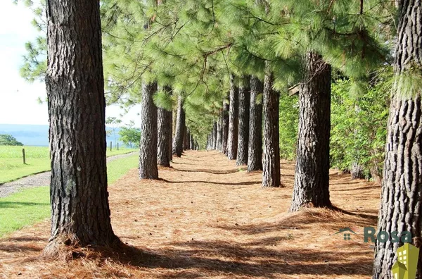Terreno  em condomínio a venda, Chapada Dos Guimarães - Foto 2