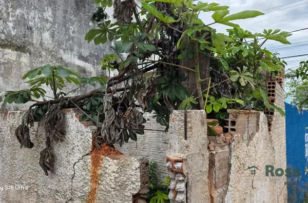 Terreno para venda, tem uma casa em ruina,  Centro-norte, Varzea Grande - Foto 6