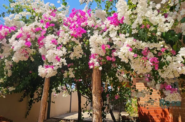 Casa para venda,  Boa Esperança, Cuiabá - Foto 2