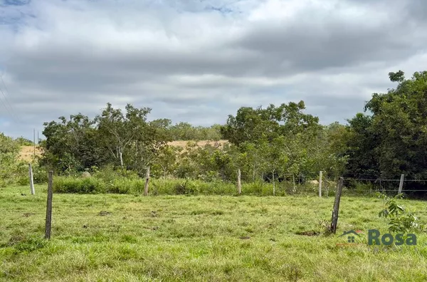 Oportunidade Fazenda para venda,  80 km de Cuiaba, as margens da br 364. Cuiabá MT - Foto 25