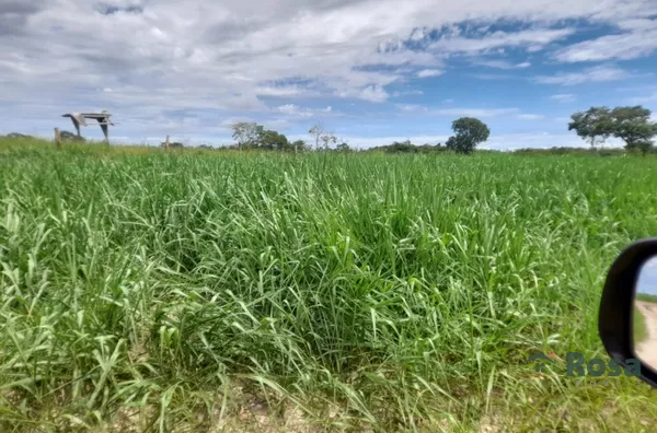 Fazenda Beira Rio Manso em Chapada - Foto 5