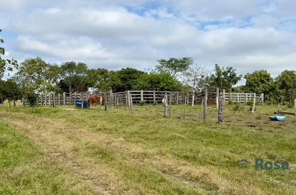 Oportunidade Fazenda para venda,  80 km de Cuiaba, as margens da br 364. Cuiabá MT - Foto 8