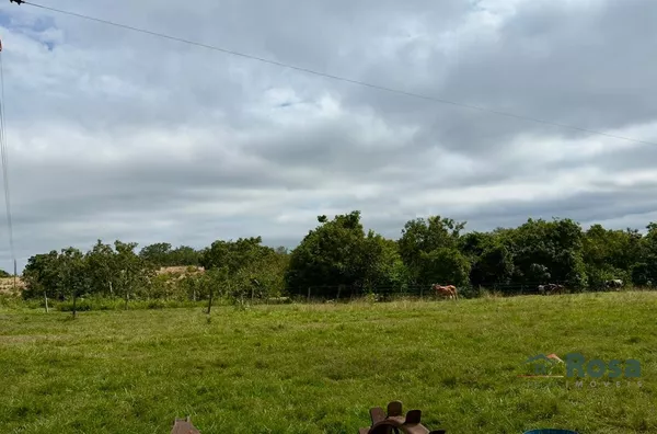Oportunidade Fazenda para venda,  80 km de Cuiaba, as margens da br 364. Cuiabá MT - Foto 26