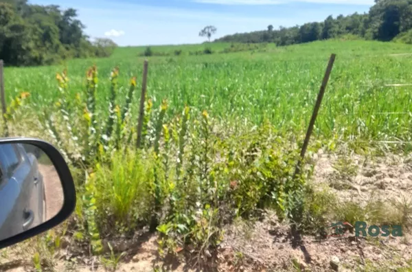 Fazenda Beira Rio Manso em Chapada - Foto 6