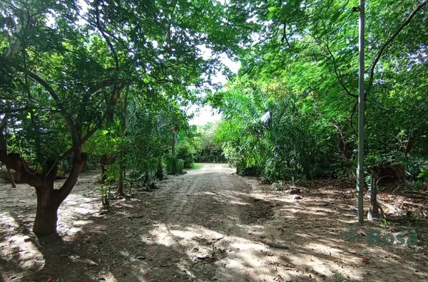 Terreno para venda, 1029m²,  Nova Esperança, Cuiabá - Foto 1