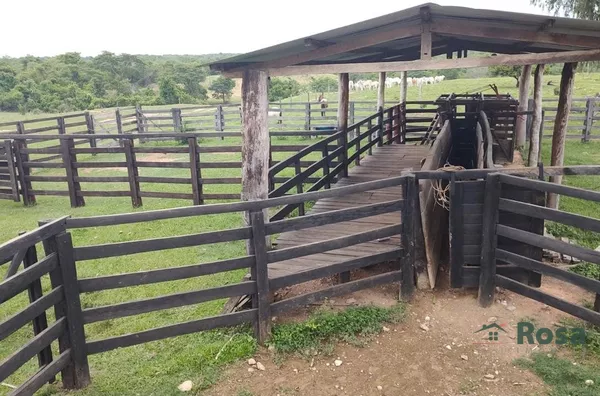 Fazenda para venda, 4 quarto(s), - Selecione - Bairro, Nova Brasilãndia - Foto 17