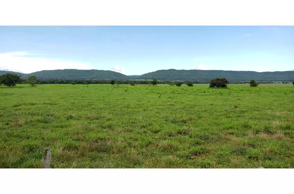 Fazenda para venda ZONA RURAL CACERES
