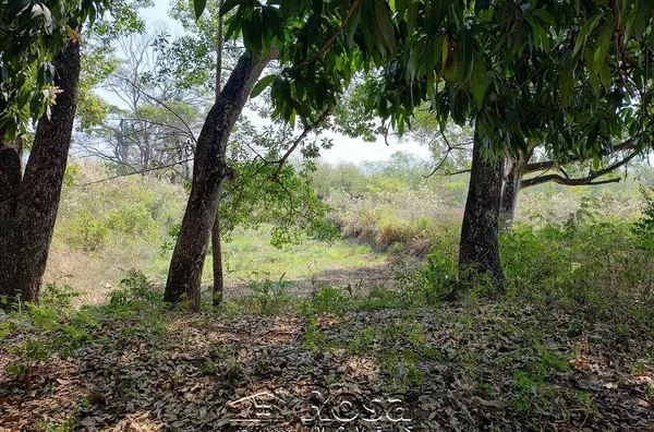 Terreno para venda COHAB VINTE E QUATRO DE DEZEMBRO VÁRZEA GRANDE