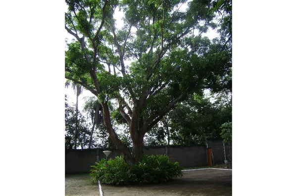 Terreno para venda ZONA RURAL SANTO ANTÔNIO DO LEVERGER