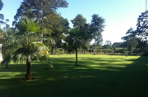 IMAGENS