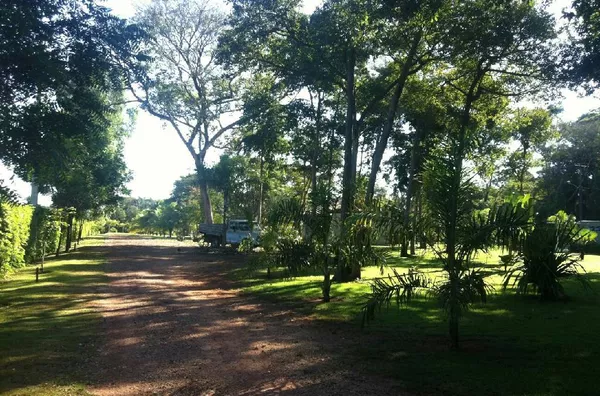 IMAGENS