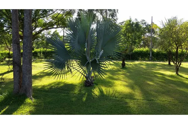 Área na Arquimedes Pereira Lima