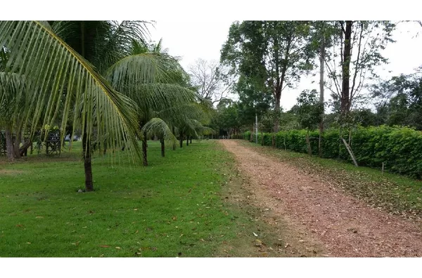Área na Arquimedes Pereira Lima