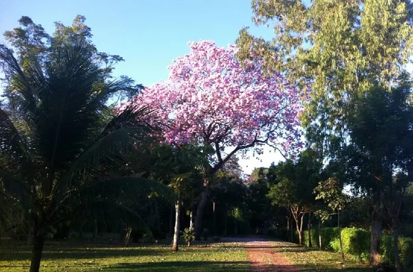 IMAGENS