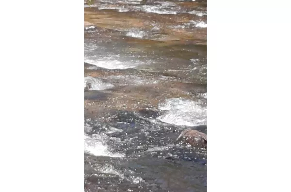 CHÁCARA / SITIO para venda ZONA RURAL Cuiabá