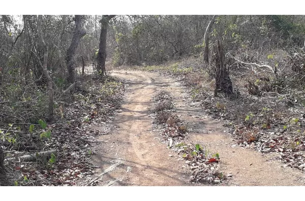 CHÁCARA / SITIO para venda ZONA RURAL POCONÉ
