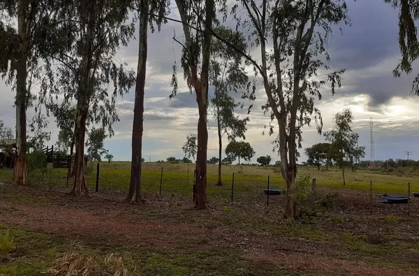 Fazenda para venda ZONA RURAL POCONÉ