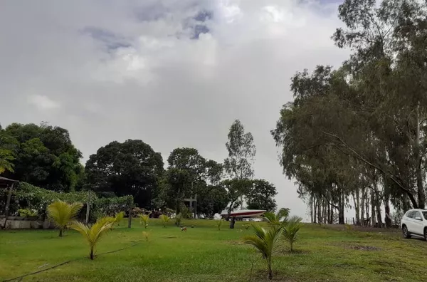 Fazenda para venda ZONA RURAL POCONÉ