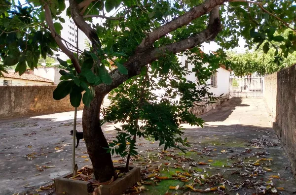 TERRENO A VENDA RIBEIRÃO DA PONTE Cuiabá