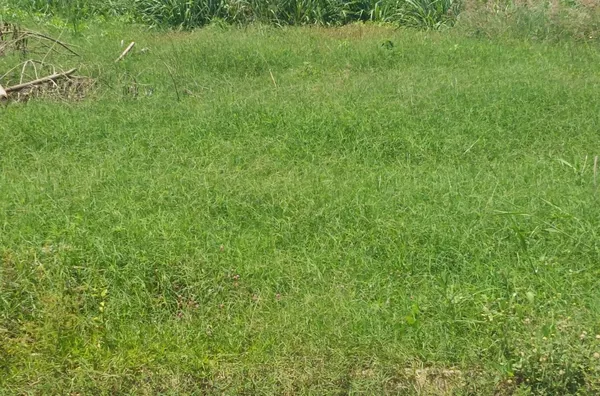 Terreno para venda