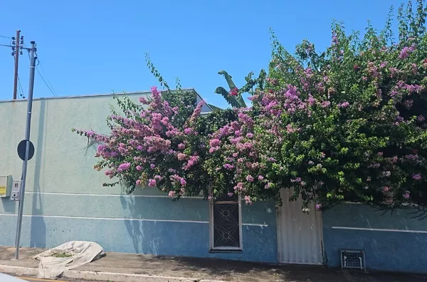 Casa para venda,  Centro-sul, Varzea Grande