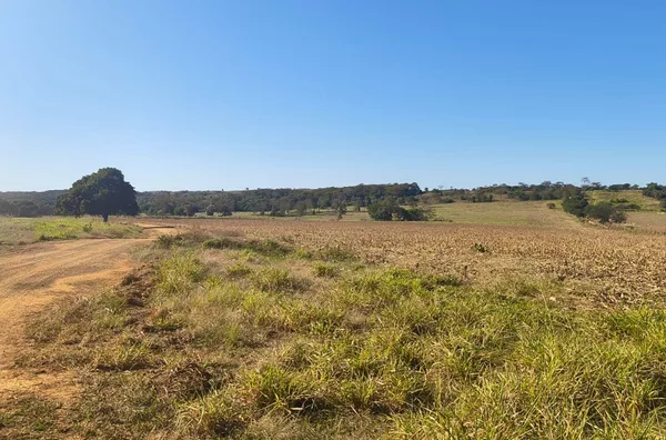 Fazenda para venda, Rosário Oeste, MT - 630 Hectares